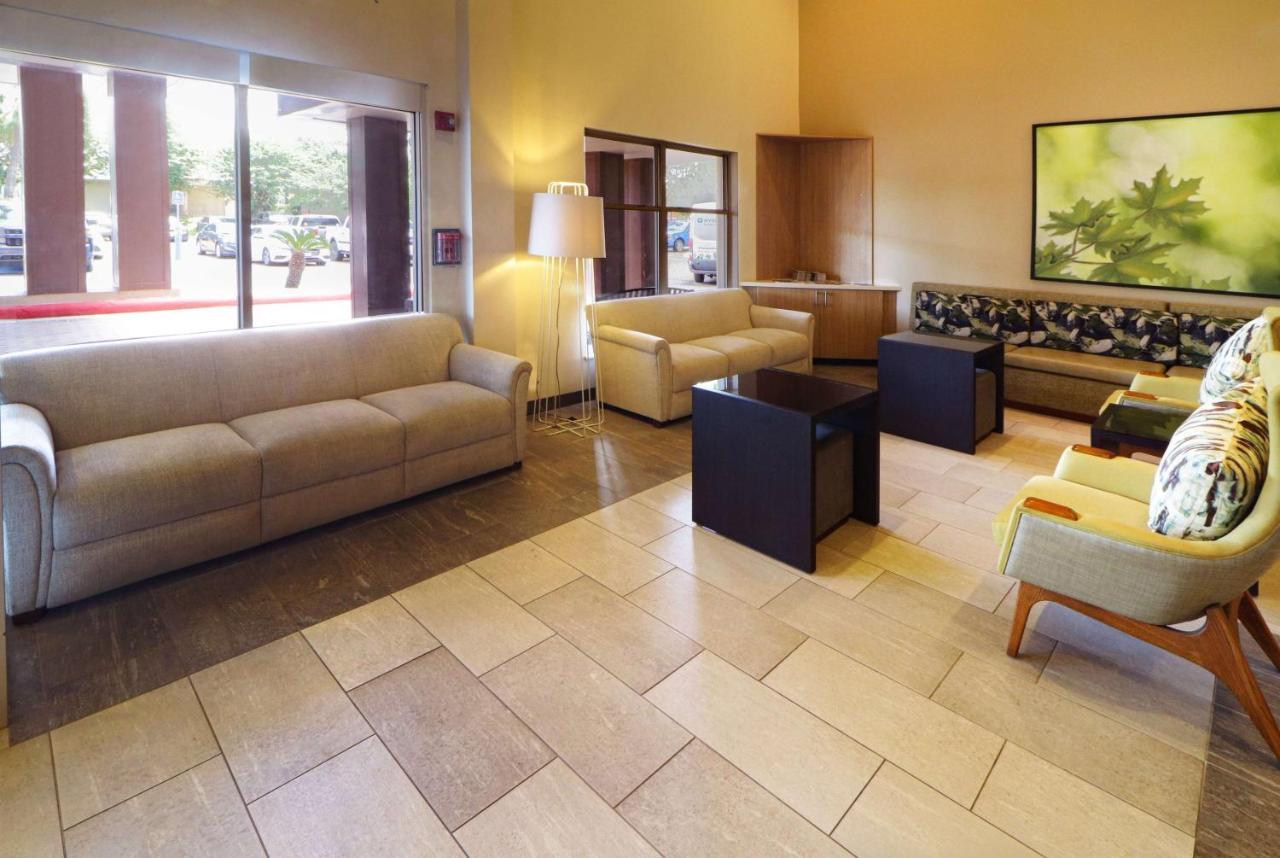 Wyndham Garden Mcallen At La Plaza Mall Εξωτερικό φωτογραφία